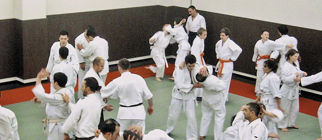 Stagiu Aniversar FRAA